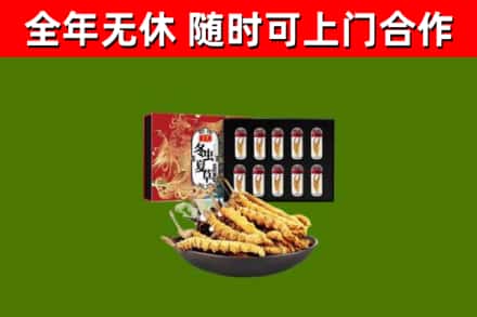 乌达回收冬虫夏草价格